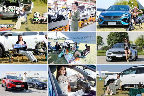 雙十一搞廠家直銷，壕禮連送12天，這家法系車企愛了愛了！